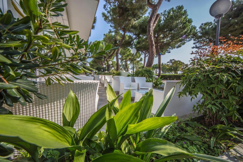 מיסאנו אדריאטיקו Ciccio Hotel מראה חיצוני תמונה